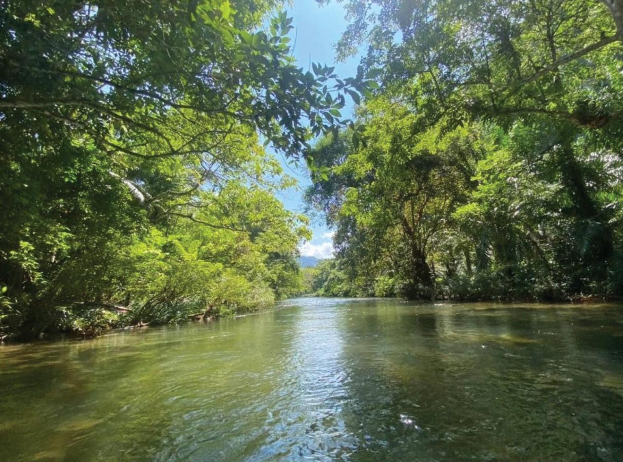 Отель The Liveliwoods Khao Sok National Park Экстерьер фото
