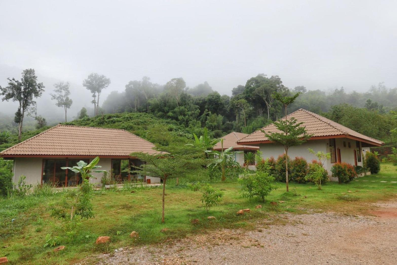 Отель The Liveliwoods Khao Sok National Park Экстерьер фото