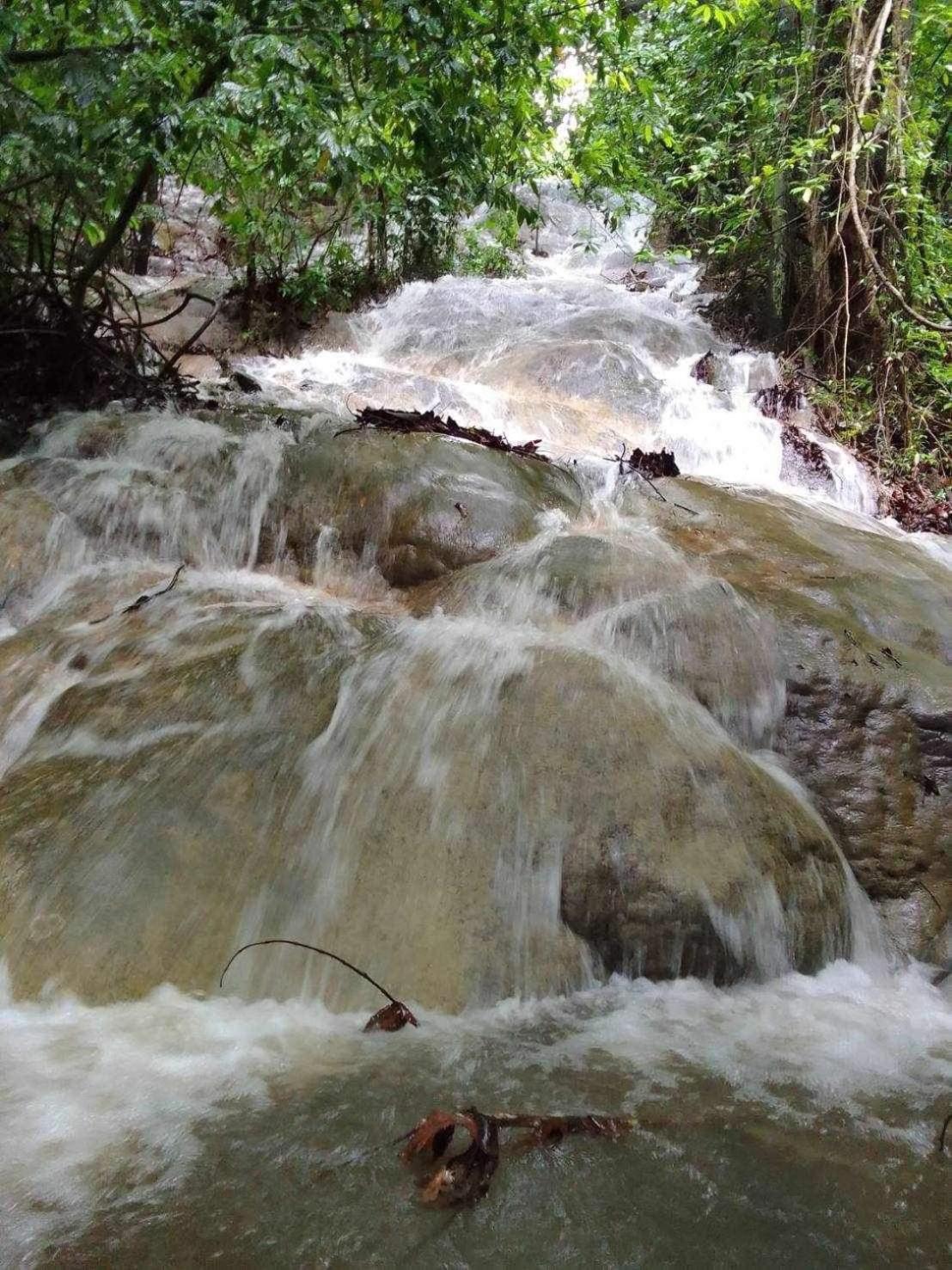 Отель The Liveliwoods Khao Sok National Park Экстерьер фото