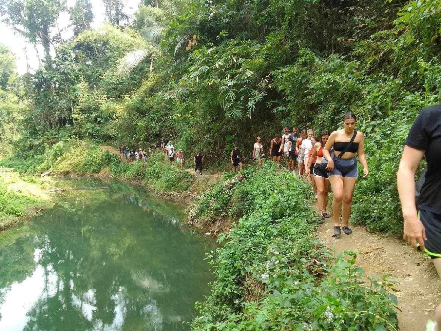 Отель The Liveliwoods Khao Sok National Park Экстерьер фото