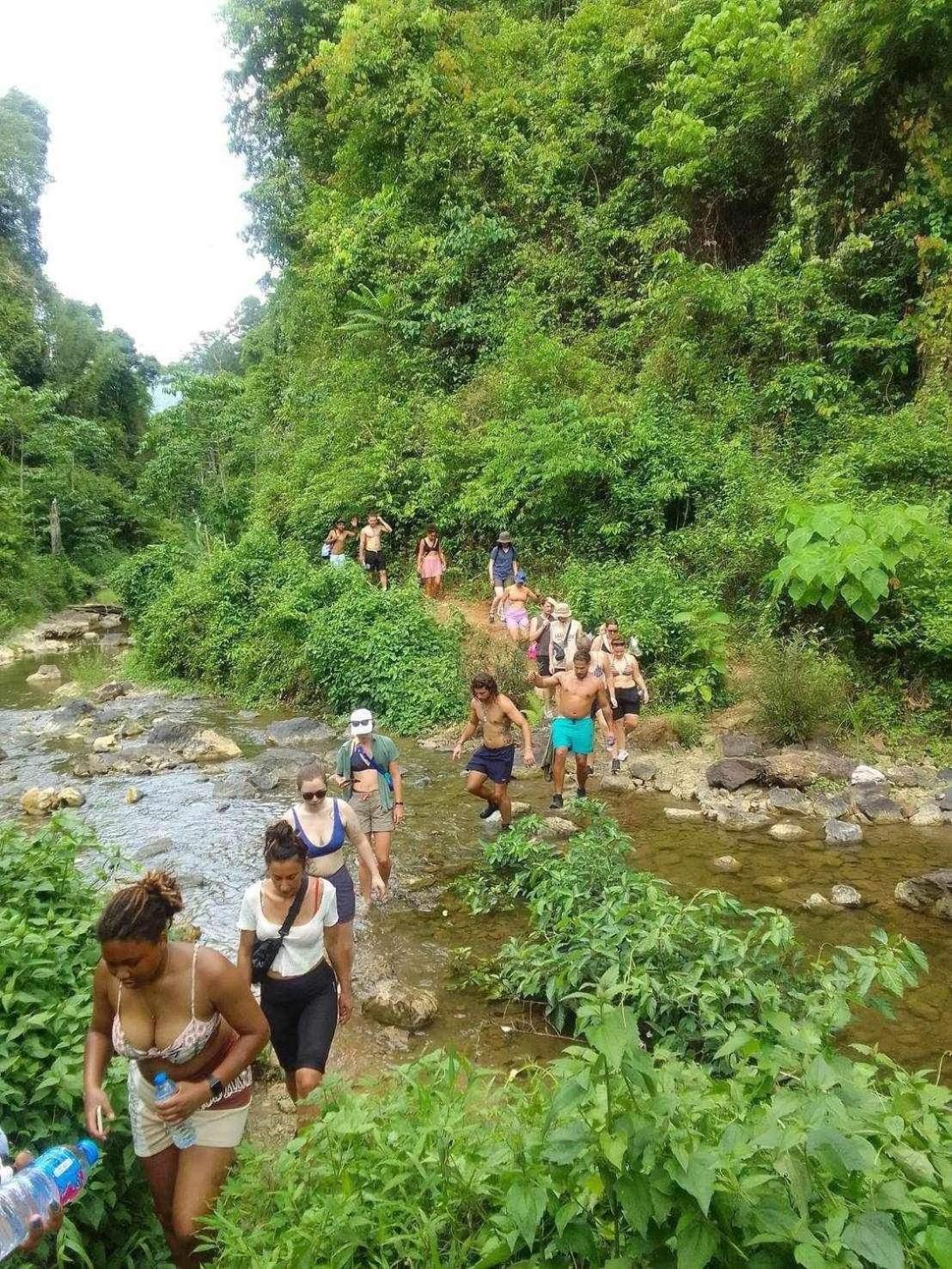 Отель The Liveliwoods Khao Sok National Park Экстерьер фото