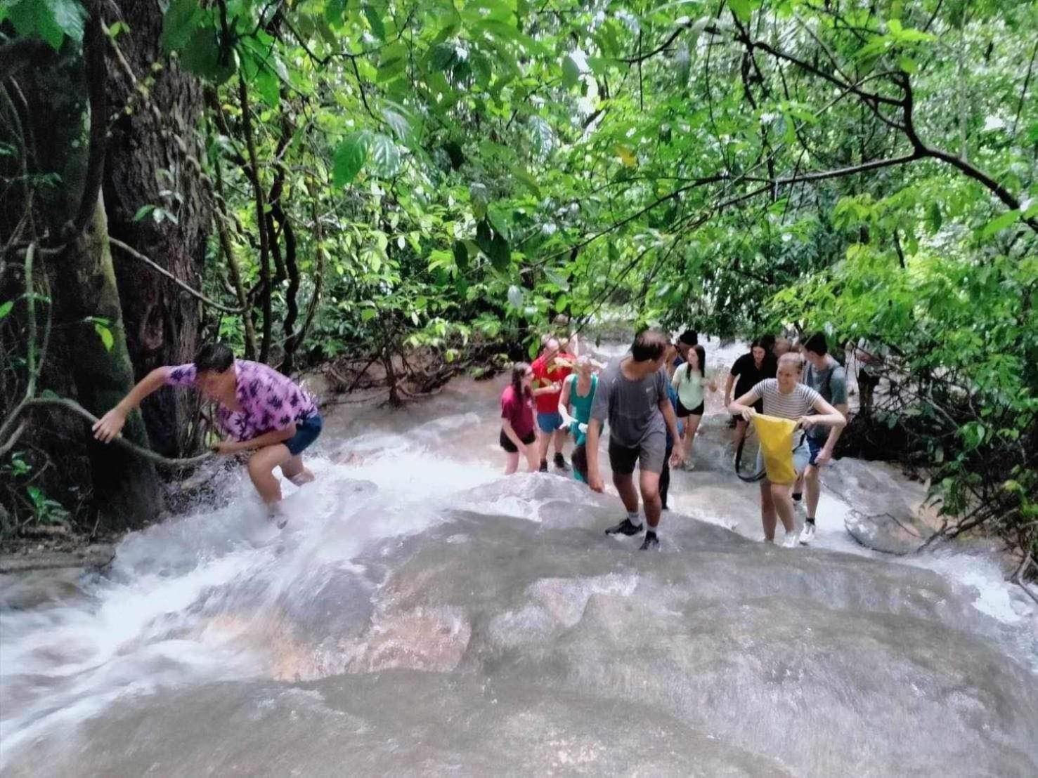 Отель The Liveliwoods Khao Sok National Park Экстерьер фото
