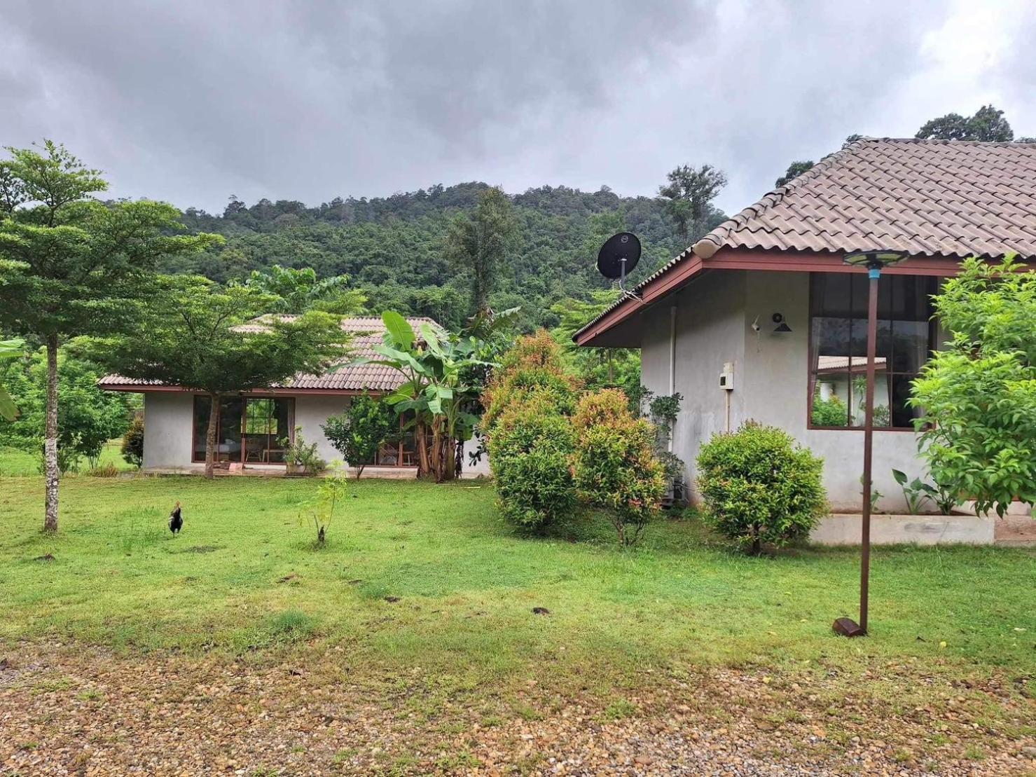 Отель The Liveliwoods Khao Sok National Park Экстерьер фото