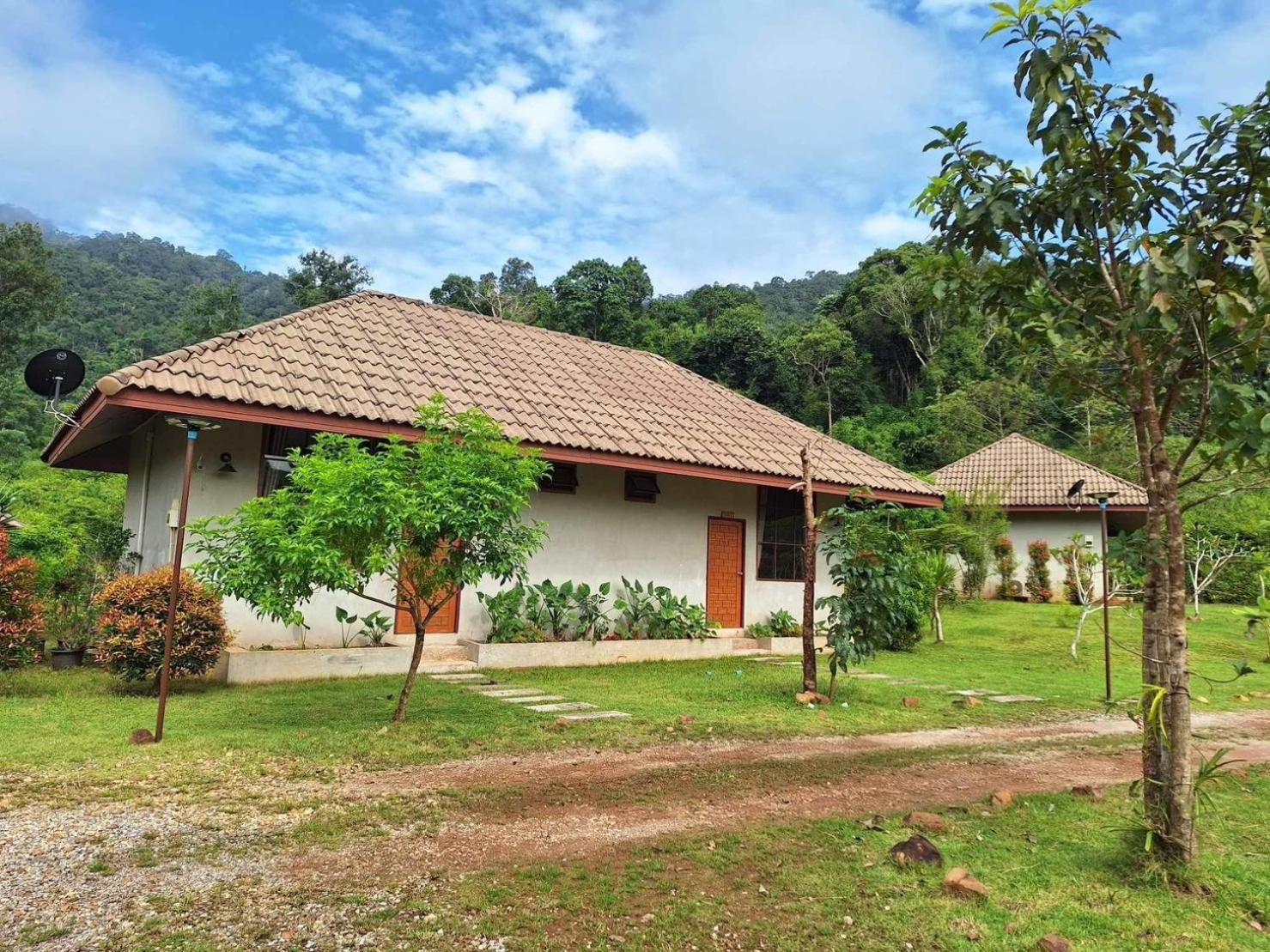 Отель The Liveliwoods Khao Sok National Park Экстерьер фото
